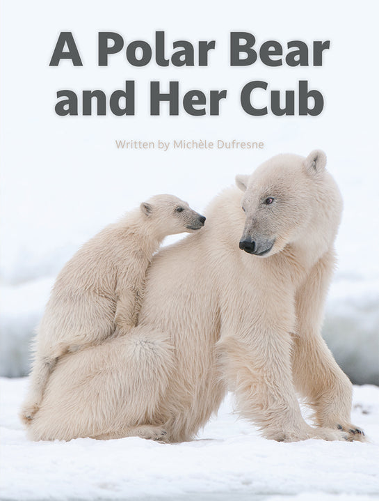 A Polar Bear and Her Cub