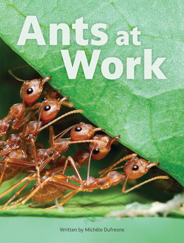 Ants at Work