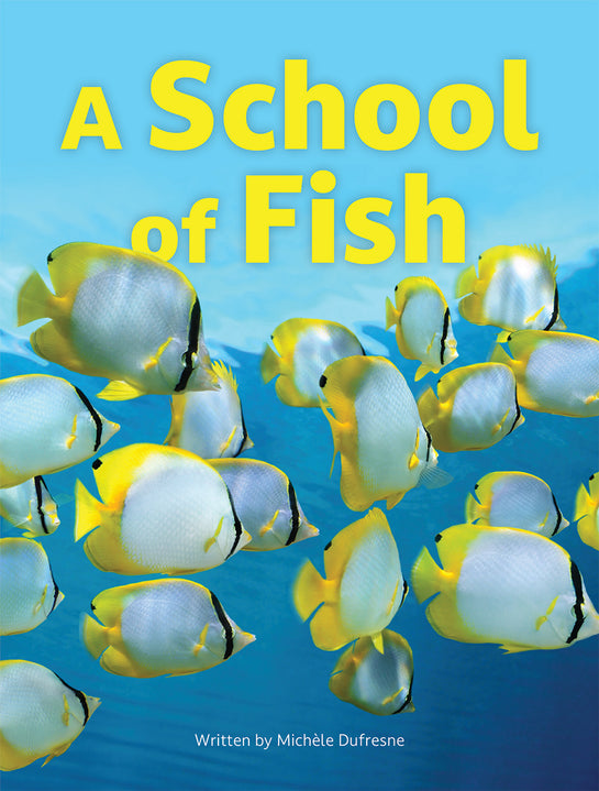 A School of Fish