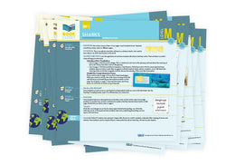 Book Closet Lesson Plans, Level M (Set One)