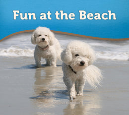 Fun at the Beach