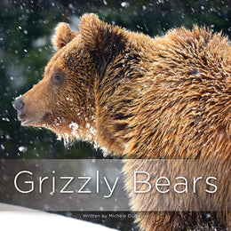 Grizzly Bears