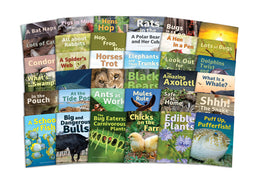 Decodable Add-On Book Bundle 1 (included on the UFLI Decodable Text Guide)