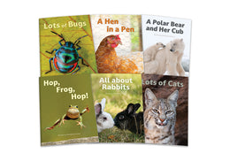 InfoCodables: Coral Set 1