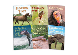 InfoCodables: Diamond Set 1