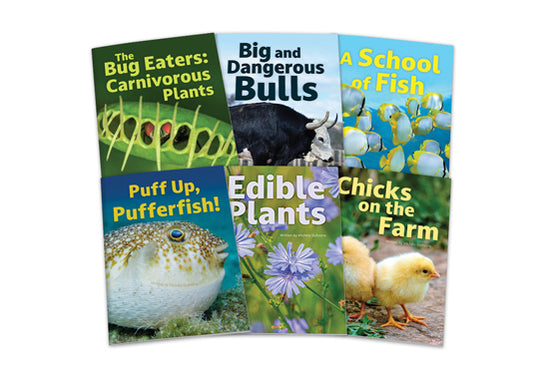 InfoCodables: Emerald Set 1