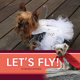 Lap Book: Let's Fly!