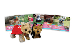 MyCodables Jack and Daisy Set 1