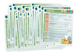 Phonics Launch On Our Way Lesson Plans Set 2