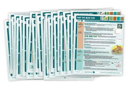 Phonics Launch Ready, Set, Go Lesson Plans Set 1