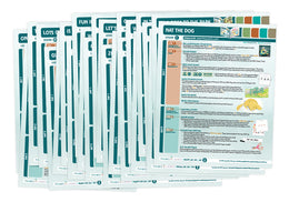 Phonics Launch Ready, Set, Go Lesson Plans Set 2