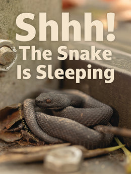 Shhh! The Snake Is Sleeping