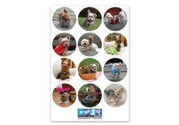 Jack and Daisy Stickers