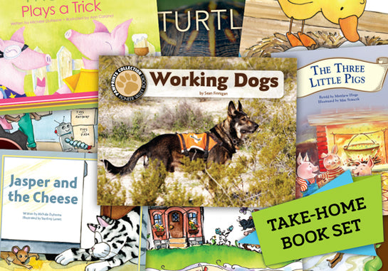 Read-at-Home Take-Home Books Level H