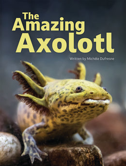 The Amazing Axolotl