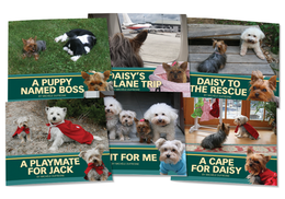 Jack and Daisy Green Set