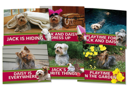 Jack and Daisy Early Readers