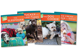 Jack and Daisy Orange Chapter Books