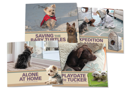 Jack and Daisy Tan Set